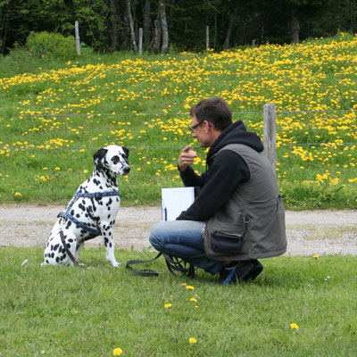 Foto: cumcane familiari