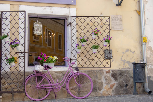 rosa Fahrrad vor Fenster in Szentendre in Ungarn