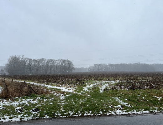 28.1.2026 Blick vom Hof in die Felder | Foto: Günter Wintgens