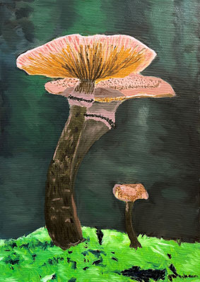 Barbara HALLIMASCH Ölfarbe auf Leinwand 70 x 50 cm | Foto: Günter Wintgens