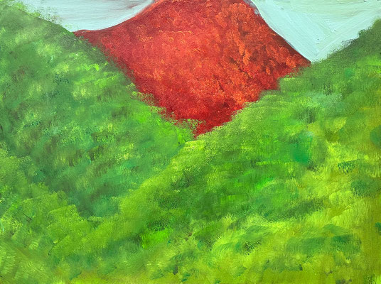 Anita ANITAS ALPENGLÜHN Ölfarbe auf Leinwand 58 X 78 cm | Foto: Günter Wintgens