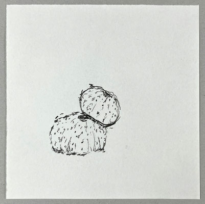 Lisa SEEIGELSKELETTE Tusche auf Papier 15 x 15 cm | Foto: Günter Wintgens