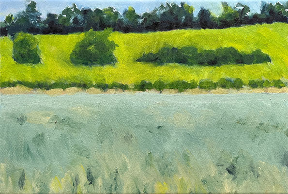 Beate SÈVRES GRÜN Ölfarbe auf Leinwand 20 X 30 cm | Foto: Günter Wintgens