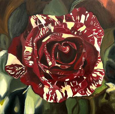 Birgit ABRACADABRA »HOCUS POCUS« Ölfarbe auf Leinwand 50 X 50 cm | Foto: Günter Wintgens