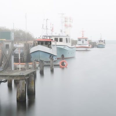 mist lippe | baltic sea | germany 2020