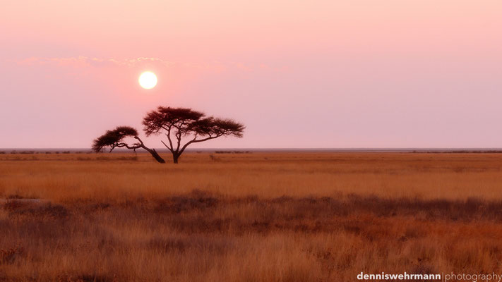 sunrise | etosha national park | namibia 2012