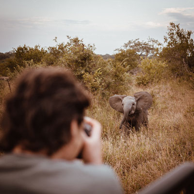 Nkelenga Self Catering Tented Camp Thornybush Südafrika