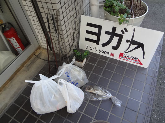 かなり大きいお魚が、、