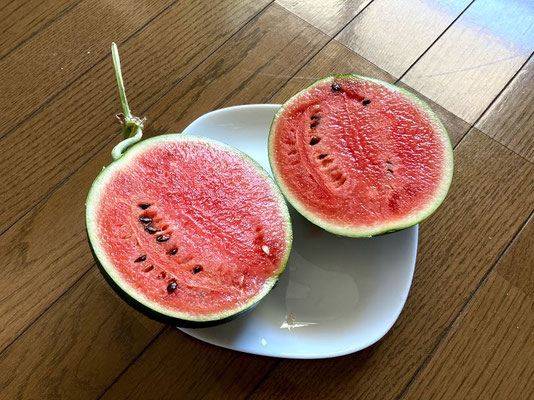 まさかのオチ(*´▽`*)