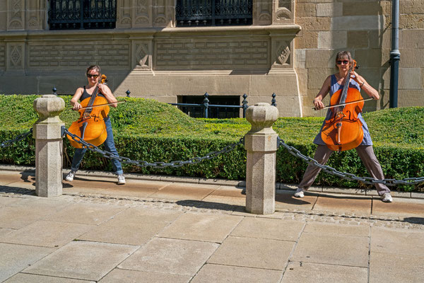 Cello Guarding IX