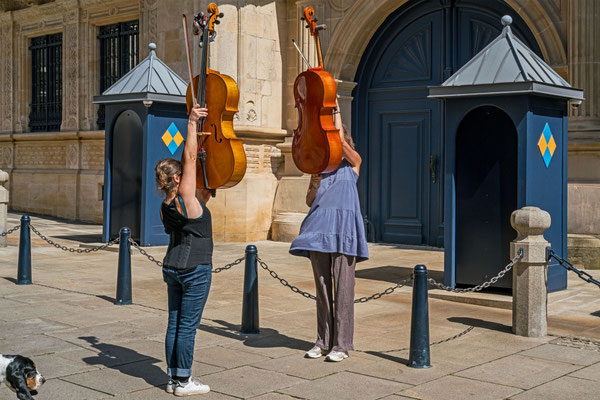 Cello Guarding II