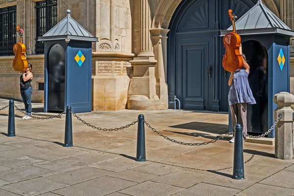 Cello Guarding IV