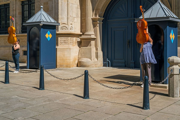 Cello Guarding IV