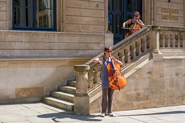 Cello Guarding XII
