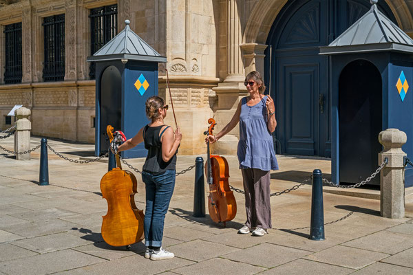 Cello Guarding I