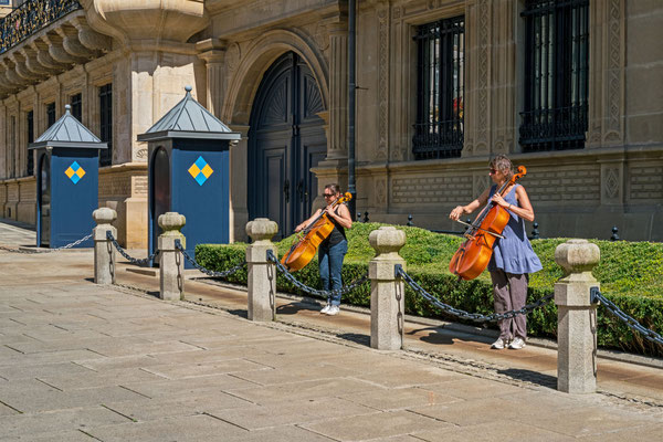 Cello Guarding VII