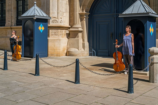 Cello Guarding III