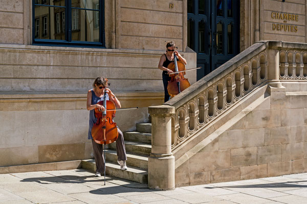 Cello Guarding XI
