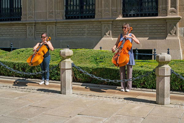 Cello Guarding VIII