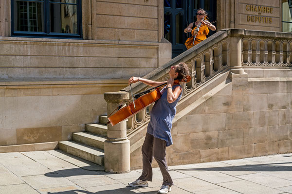 Cello Guarding XIV