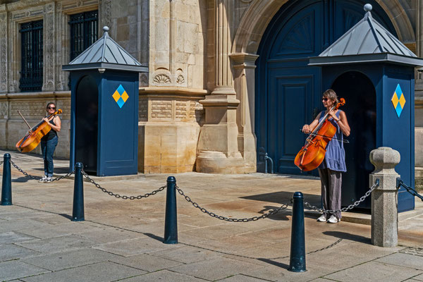 Cello Guarding VI