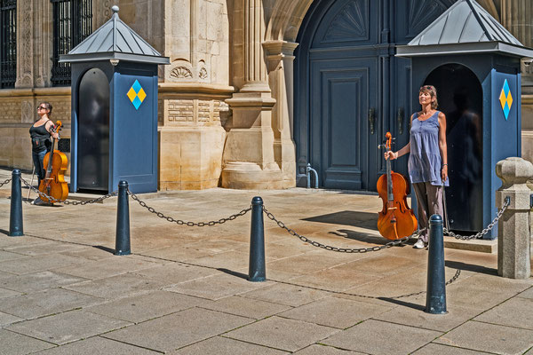 Cello Guarding III