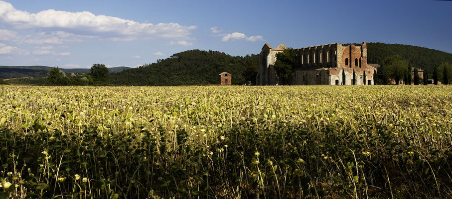 Toskana, Italien - Tuscany, Italy