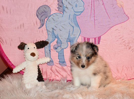 "Arielle" mit 1238g (reserviert)
