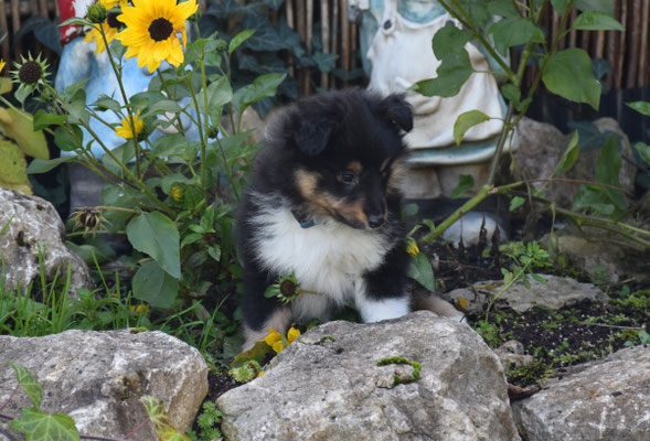 "Gismo" mit 1980g  (ich bin noch zu haben)