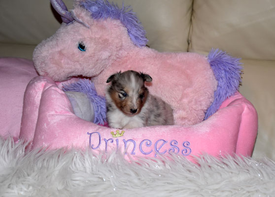 "noble Fairytale Princess Arielle" mit einem Gewicht von 704g (reserviert)