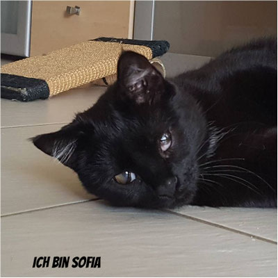 Ich bin Sofia