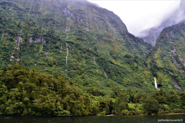 Croisière dans le Doubtful Sound