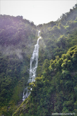 Croisière dans le Doubtful Sound