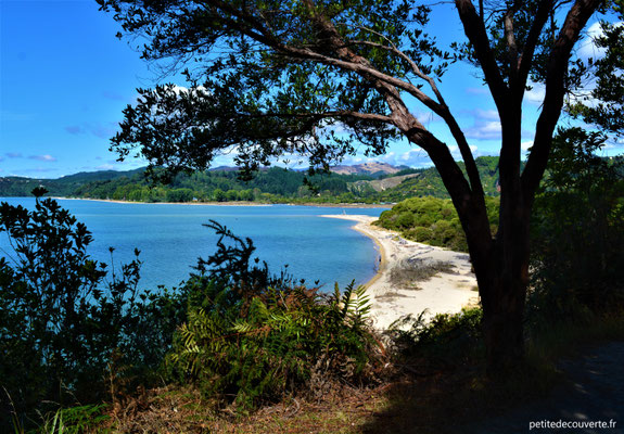  Abel Tasman - Nouvelle- Zélande