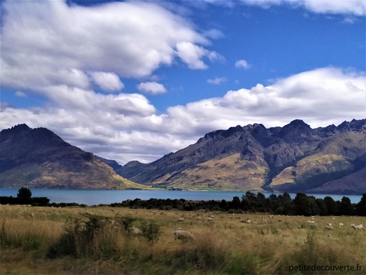 Direction Te Anau depuis Queenstown