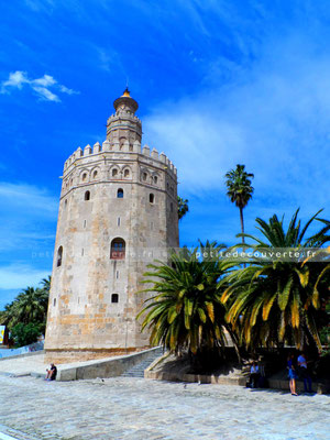 Torre de Oro à Séville