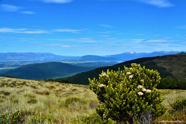 - Kepler Track depuis Te Anau - Nouvelle Zélande -