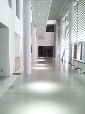 2013' 東京大学60号館　-TOKYO-　　　（Architect:今井公太郎＋遠藤克彦建築研究所　東京大学キャンパス計画室・同施設部 ）