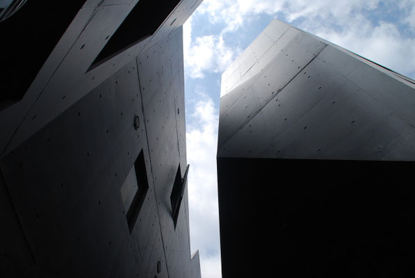 2010' alp -TOKYO-   （Architect:平田晃久建築設計事務所）
