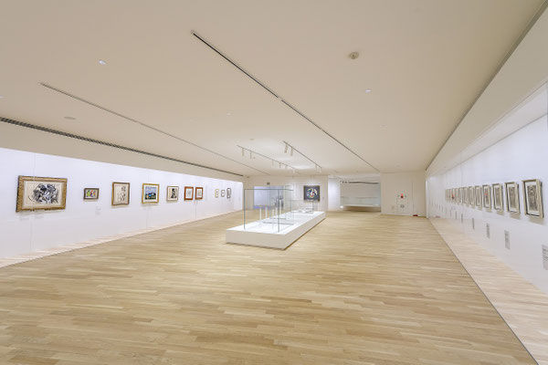 2019' 箱根彫刻の森美術館 ピカソ館  -HAKONE-（Architect : ARIWRKS）
