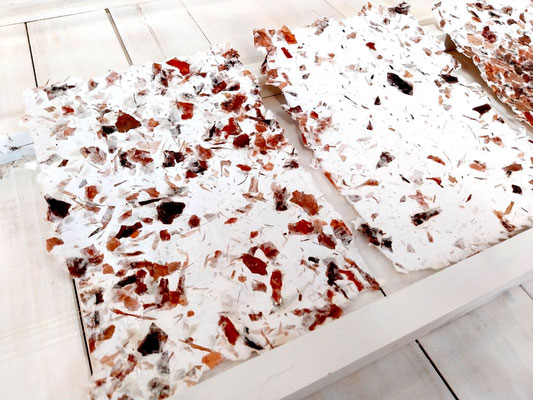 Zwiebenpapier als Beispiel für den Workshop "Papierschöpfen" in Ganderkesee.