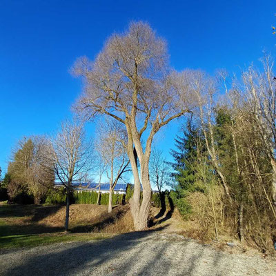 Außenansichten | Villa Kirnach – Exclusive Suites, Spa & Beauty | 87640 Ebenhofen Ostallgäu