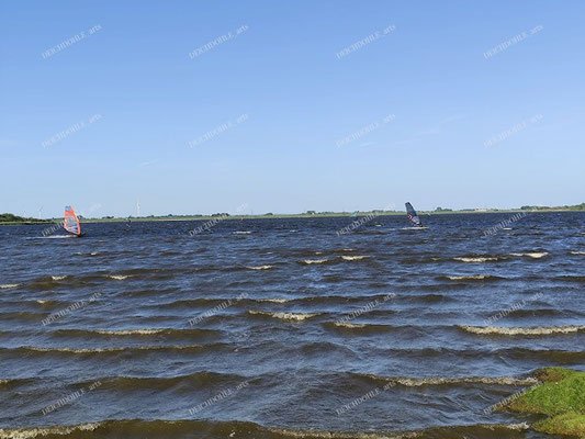 Windsurfer am Mielespeicherbecken am "Meldorfer Speicherkoog" / Speicherkoog Dithmarschen