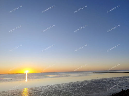 Sonnenuntergang in der Meldorfer Bucht und Vögel ziehen vorbei