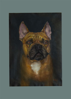 Dog Portrait, Französische Bulldoge, Pastellkreide 60x40 cm,  Jahr 2020