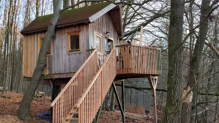 Baumhaus im kahlen Wald.