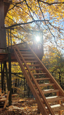 Treppe am Baumhaus noch ohne Geländer, Sonnenschein und Herbstwald.
