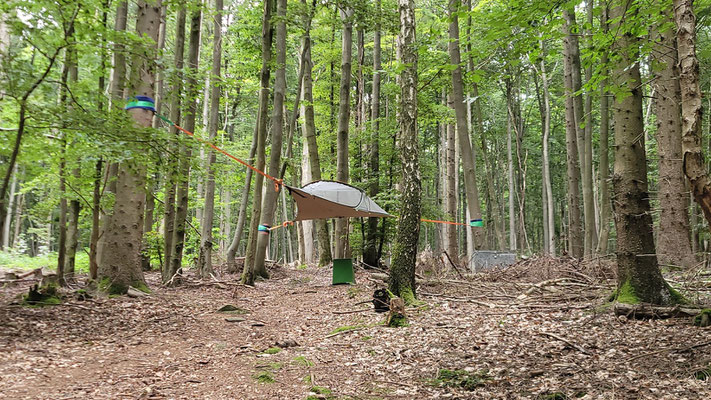 Richtig echt im Wald.