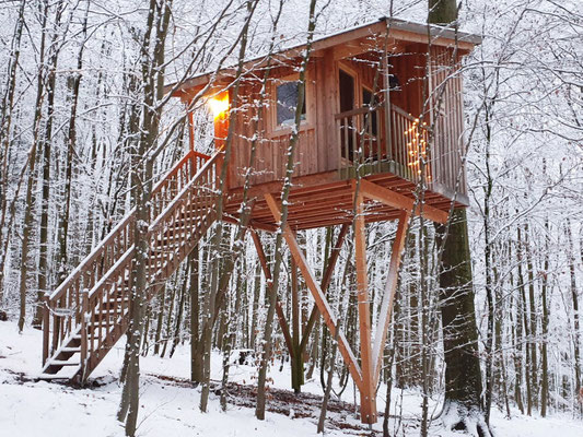 Baumhaus Freiruam im verschneiten Wald