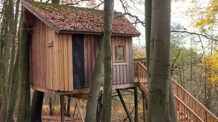 Am Baumhaus Ahletal wird gebaut.